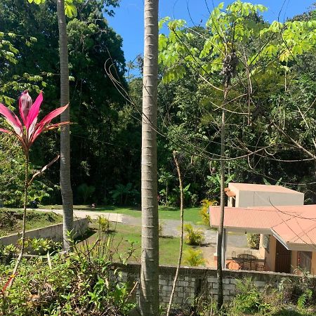Alma Del Bosque Vacation Home And Apartments Quepos Eksteriør billede