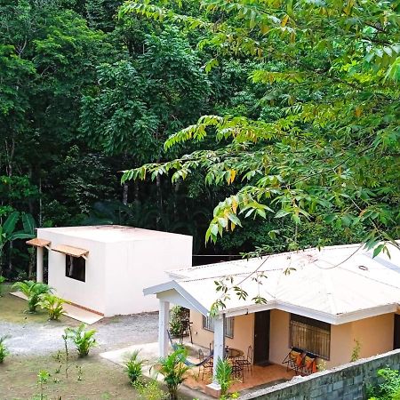 Alma Del Bosque Vacation Home And Apartments Quepos Eksteriør billede