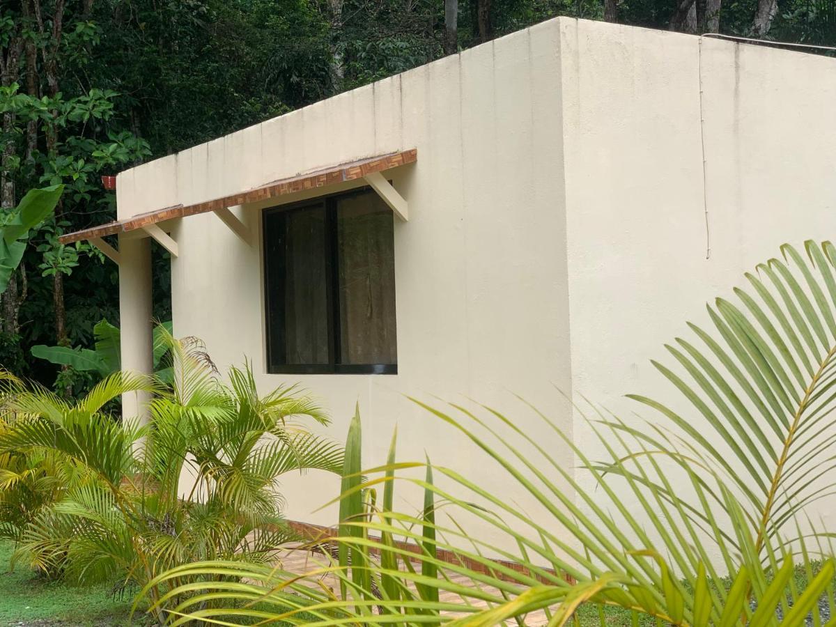 Alma Del Bosque Vacation Home And Apartments Quepos Eksteriør billede