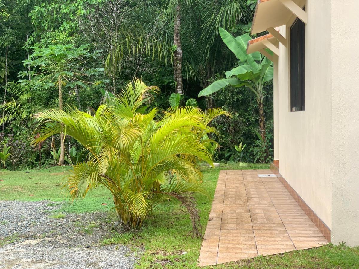 Alma Del Bosque Vacation Home And Apartments Quepos Eksteriør billede