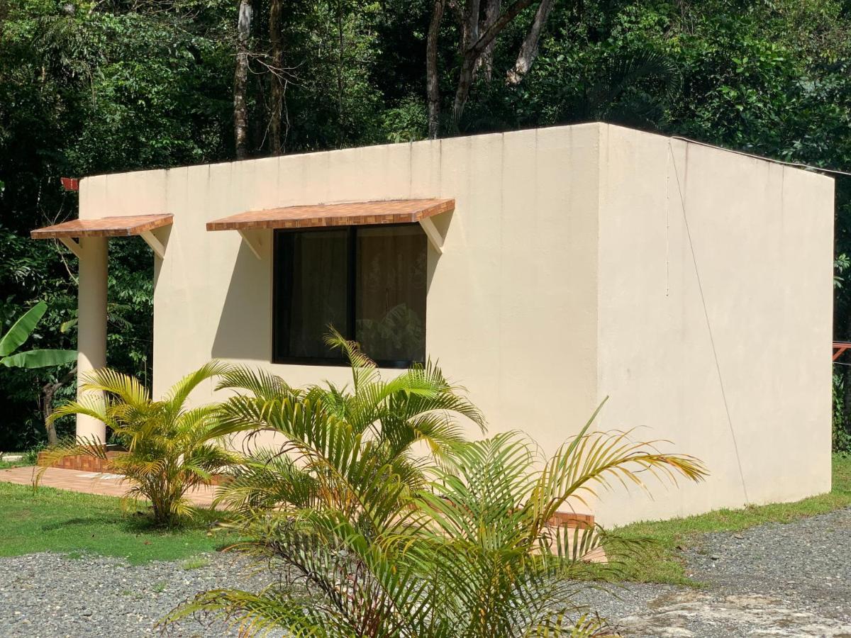 Alma Del Bosque Vacation Home And Apartments Quepos Eksteriør billede