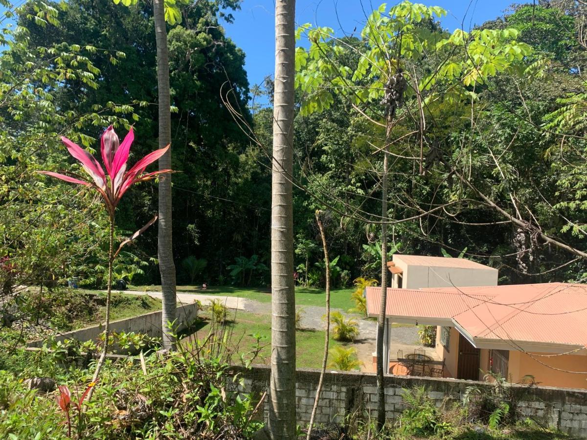 Alma Del Bosque Vacation Home And Apartments Quepos Eksteriør billede